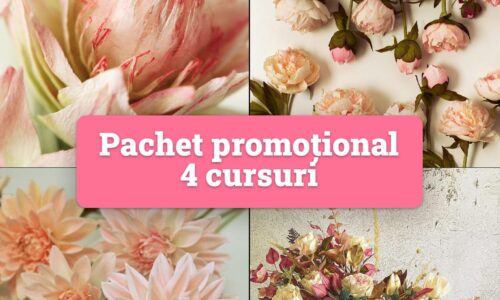 miniatură curs
