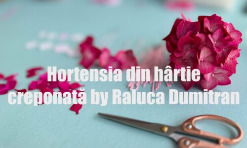 miniatură curs
